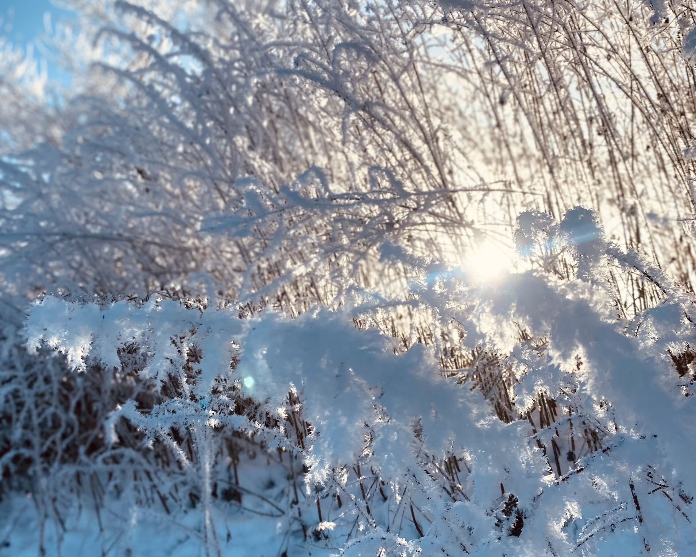 Rauhnächte – Eine besondere Chance für Mütter
